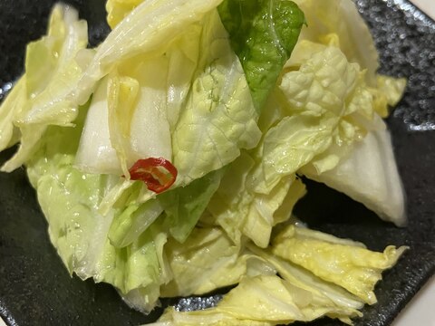 白菜の白だし浅漬け